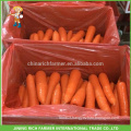 China New Crop Fresh Carrot S/M/L Size